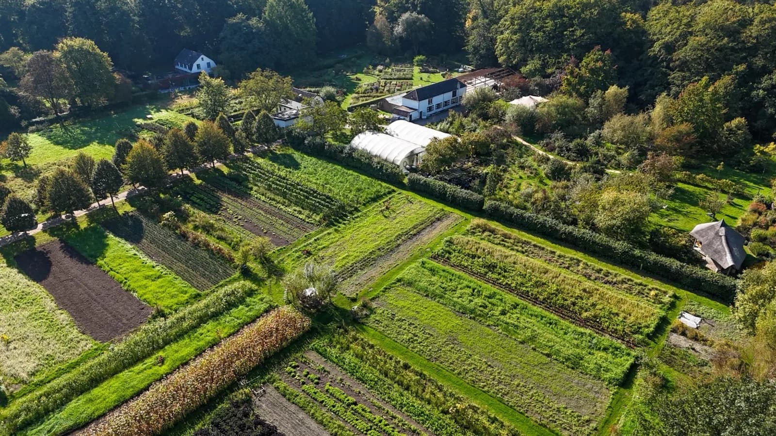 Academie Kraaybeekerhof